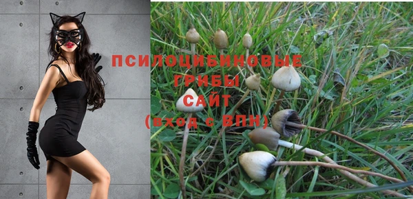 метадон Михайловск