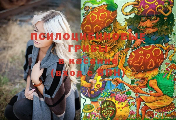 метадон Михайловск