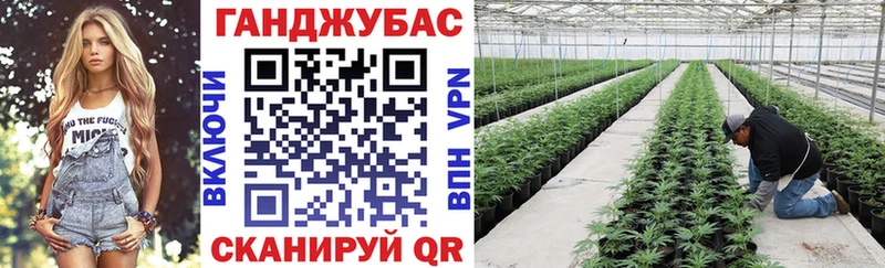 Каннабис гибрид  OMG онион  Агрыз 